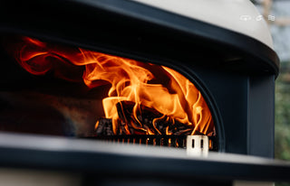 Dome XL Gen 2.0 Dual Fuel LP